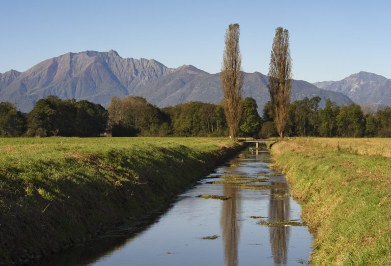 Storie intorno ai canali d’acqua del Piano di Magadino
