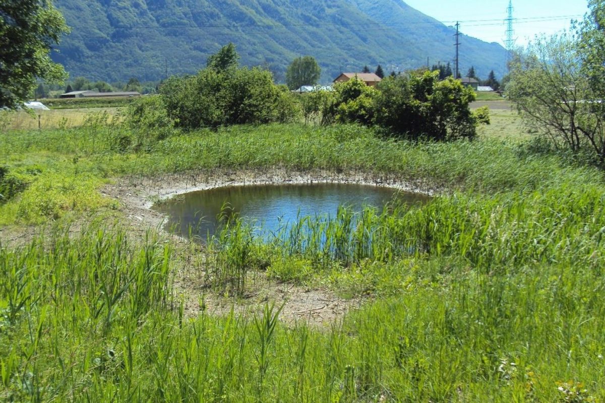 Ripristino naturalistica dell’area “ex nomadi” a Gudo