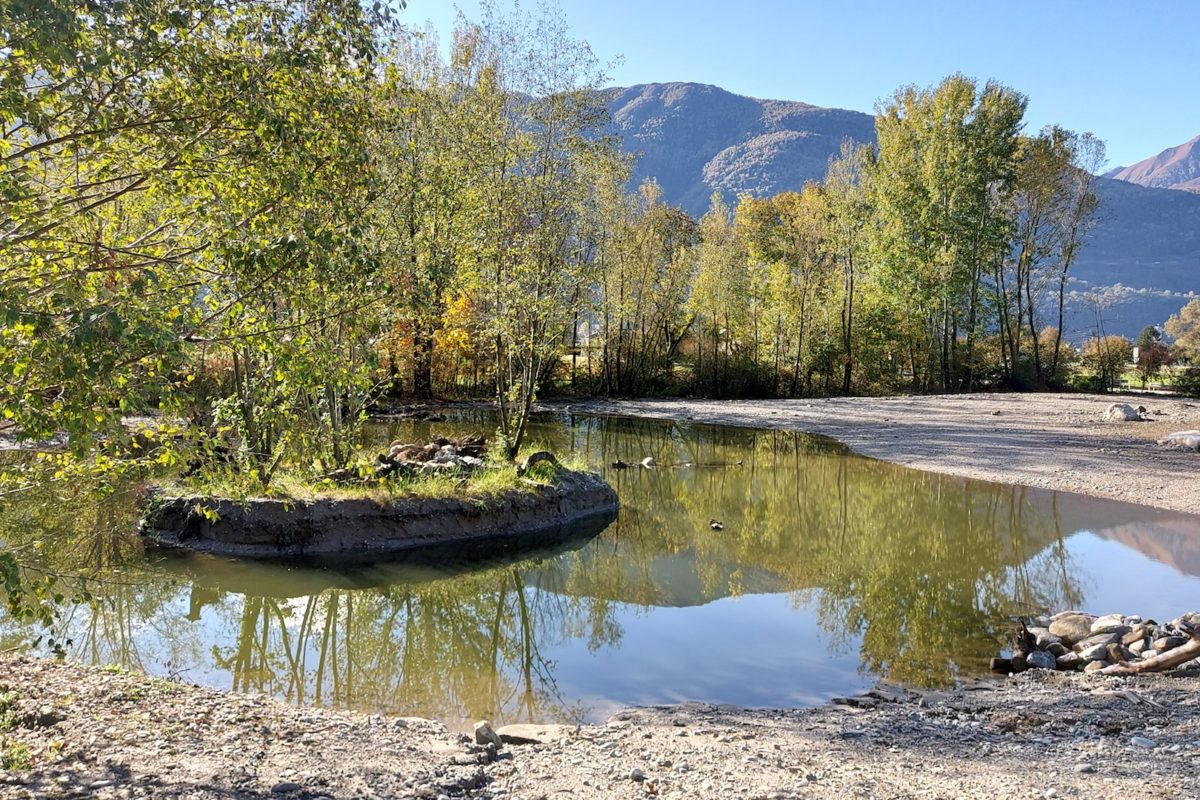 Ripristino naturalistica dell’area “ex nomadi” a Gudo