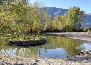 Ripristino naturalistica dell’area “ex nomadi” a Gudo