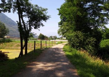 Una pista ciclabile di qualità all’interno del Parco