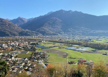 Il Parco del Piano di Magadino dal punto di vista faunistico