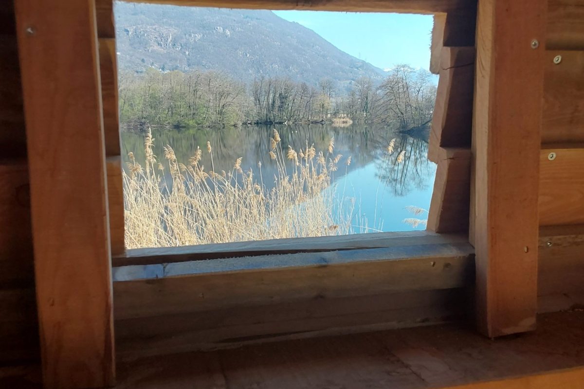 Nuovo osservatorio avifauna Lago del Demanio