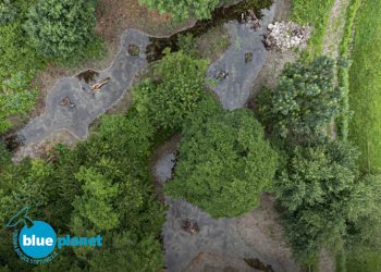 Palude Vigna Lunga Trebbione – importanza nazionale