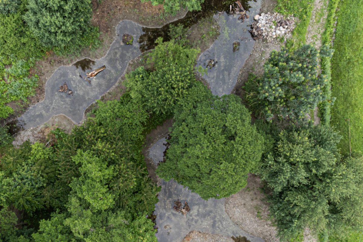 Palude Vigna Lunga Trebbione – importanza nazionale