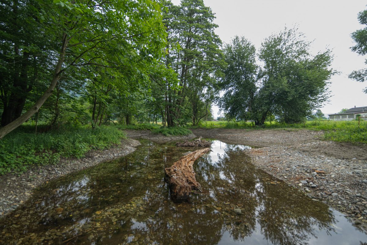 Palude Vigna Lunga Trebbione – importanza nazionale