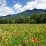 Progetto d’interconnessione – Piano di Magadino