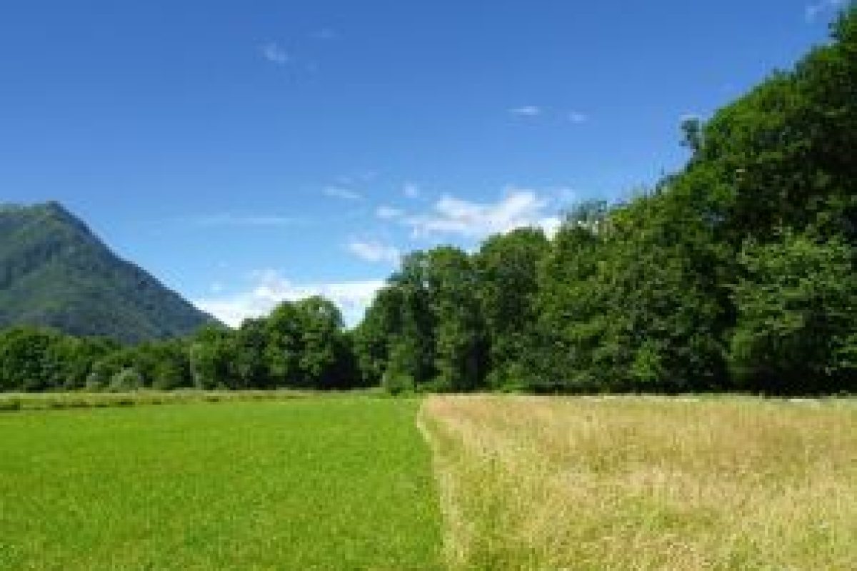 Verbindungsprojekt – Piano di Magadino