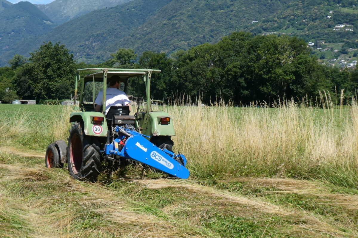 Verbindungsprojekt – Piano di Magadino