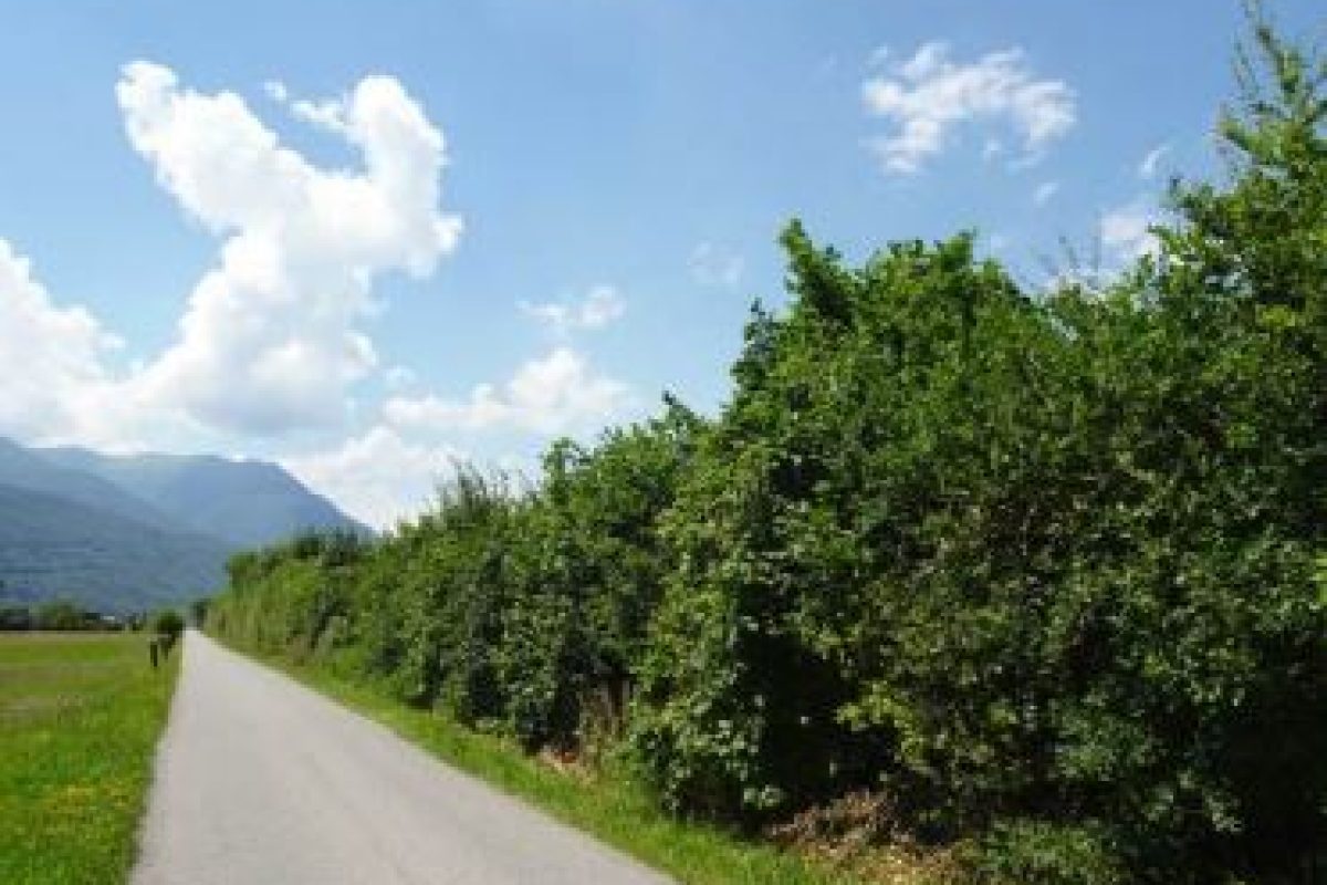 Verbindungsprojekt – Piano di Magadino