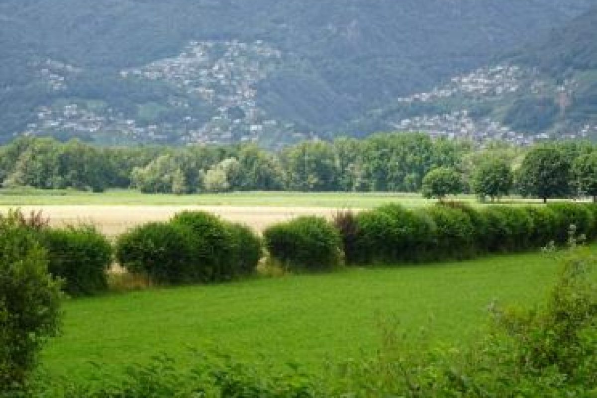 Verbindungsprojekt – Piano di Magadino