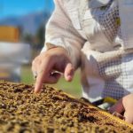 L’apiario didattico della Fondazione Orchidea