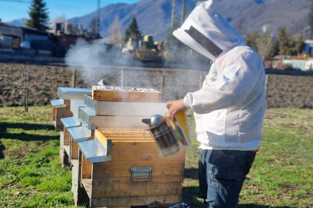 L’apiario didattico della Fondazione Orchidea