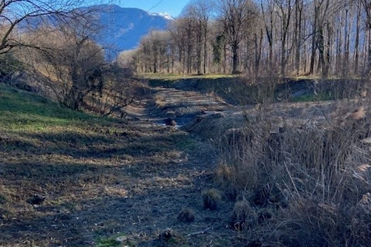 Riserva naturale Santa Maria – Gudo