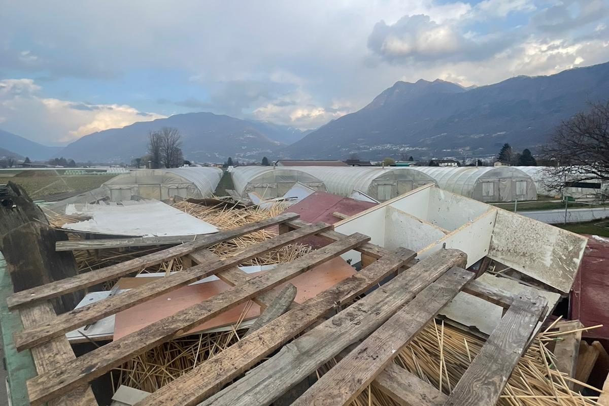 Biokompostierbare Säcke für den Direktverkauf