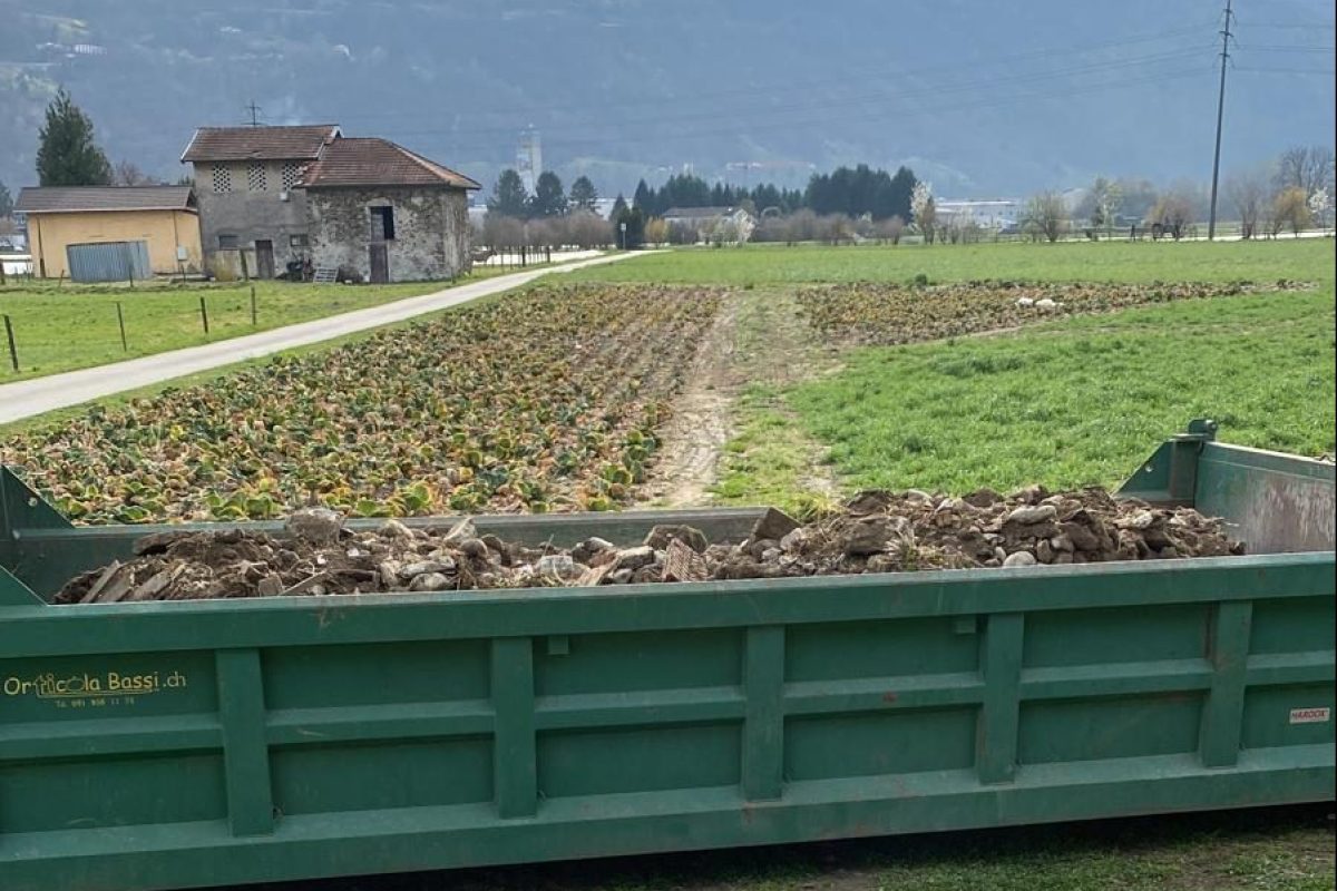 Biokompostierbare Säcke für den Direktverkauf